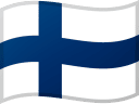 FIN
